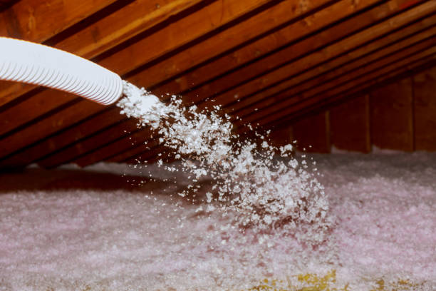 Best Geographic-Specific Insulation Services in Plover, WI
