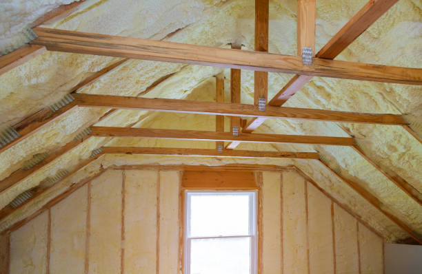 Best Geographic-Specific Insulation Services in Plover, WI