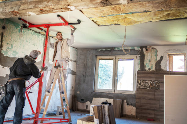 Best Specialized Insulation Services in Plover, WI