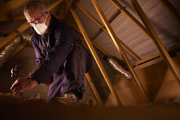 Best Eco-Friendly Insulation in Plover, WI